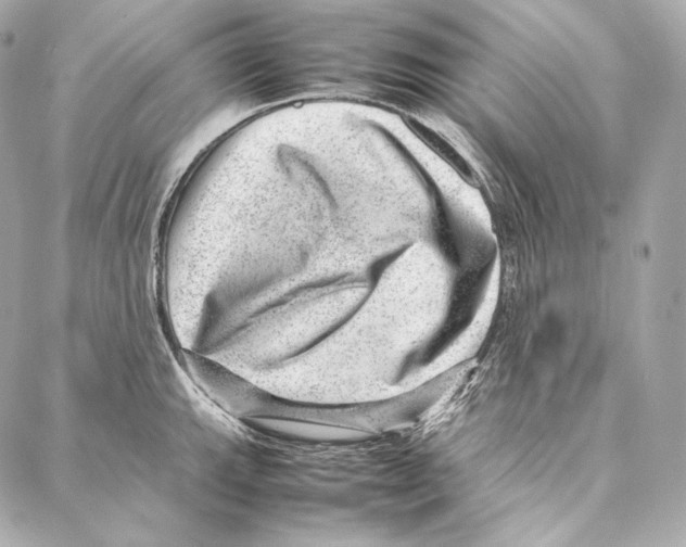 X0000086971143200705141644