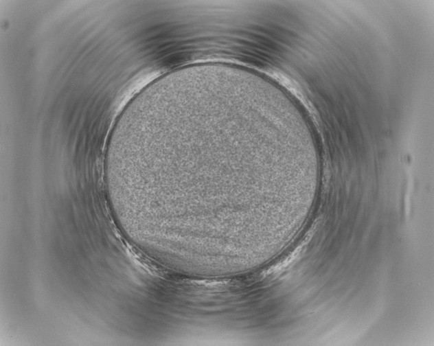 X0000086971145200705141644