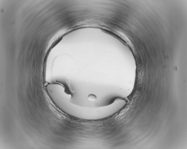 X0000086971146200705141644