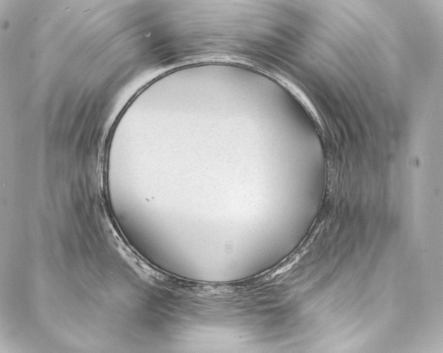 X0000086971148200705141644