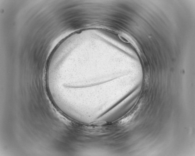 X0000086971149200705141644