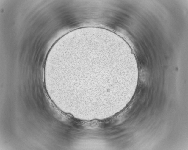 X0000086971150200705141644