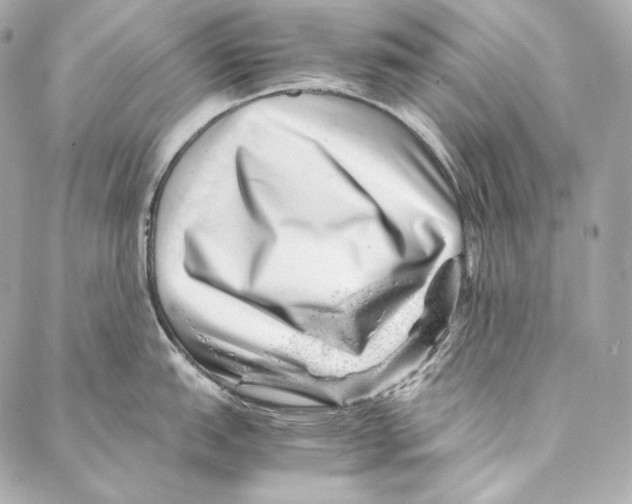 X0000086971151200705141644