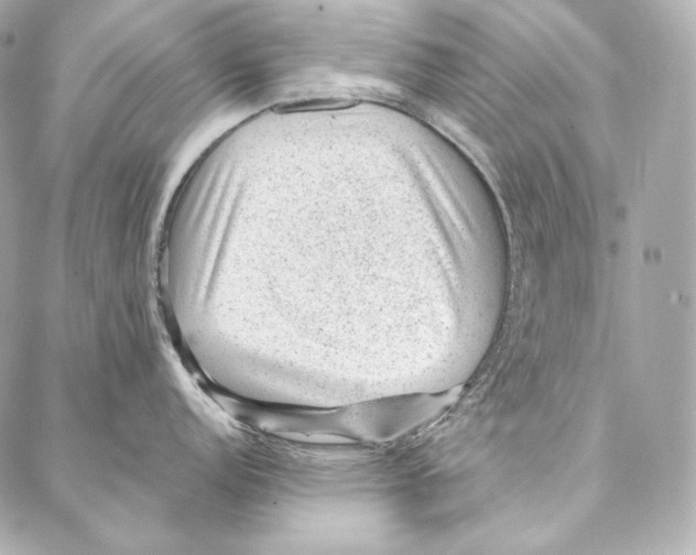 X0000086971152200705141644