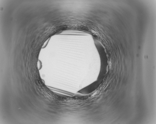 X0000086971153200705141644