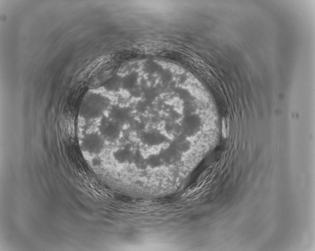 X0000086971155200705141644