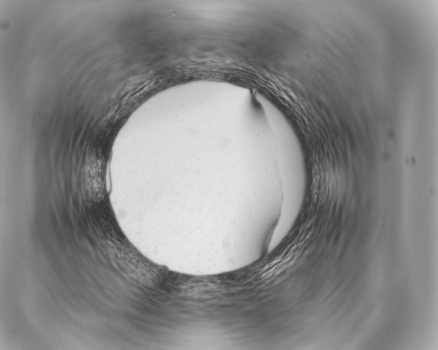 X0000086971156200705141644