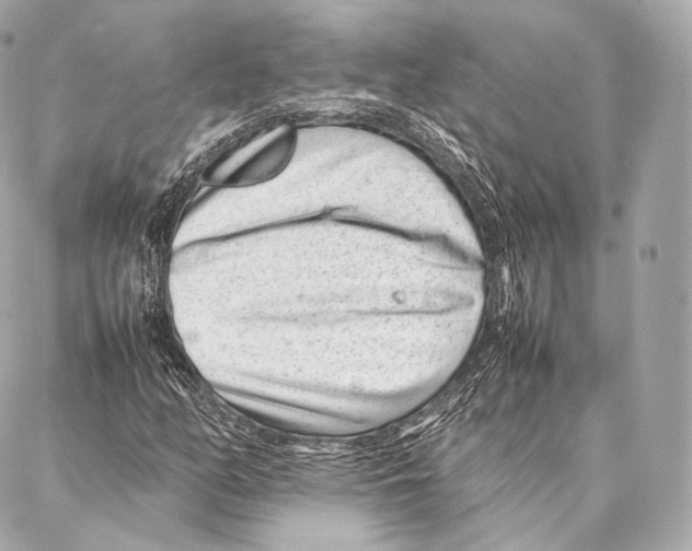 X0000086971158200705141644