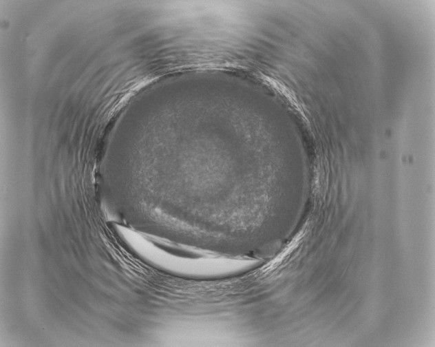 X0000086971161200705141643