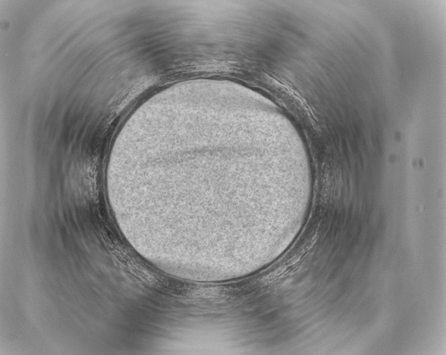 X0000086971162200705141643