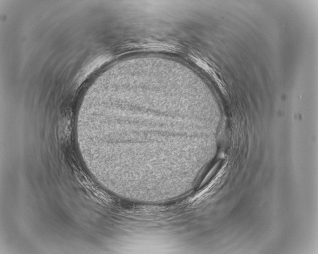 X0000086971163200705141643