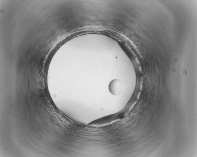 X0000086971168200705141643