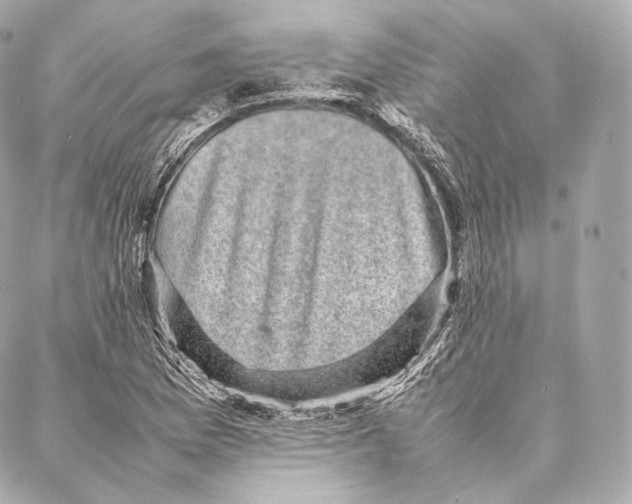 X0000086971169200705141643