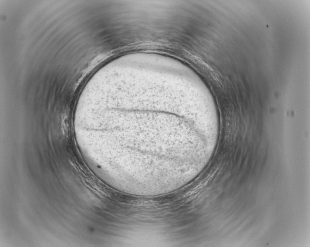 X0000086971170200705141643