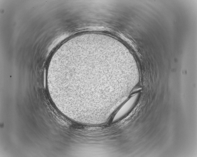 X0000086971171200705141643