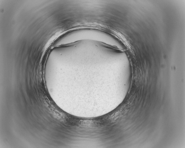 X0000086971172200705141643