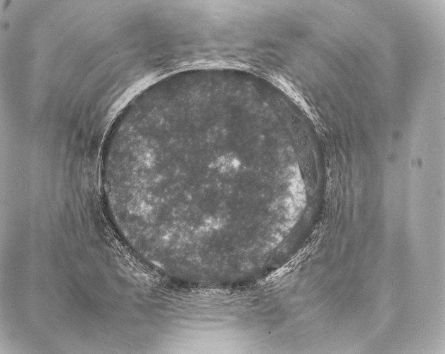 X0000086971173200705141643