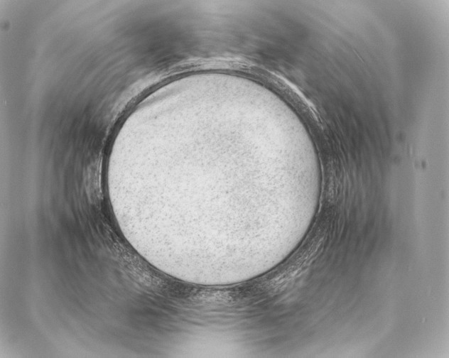 X0000086971174200705141643