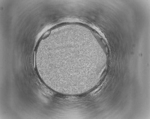 X0000086971175200705141643