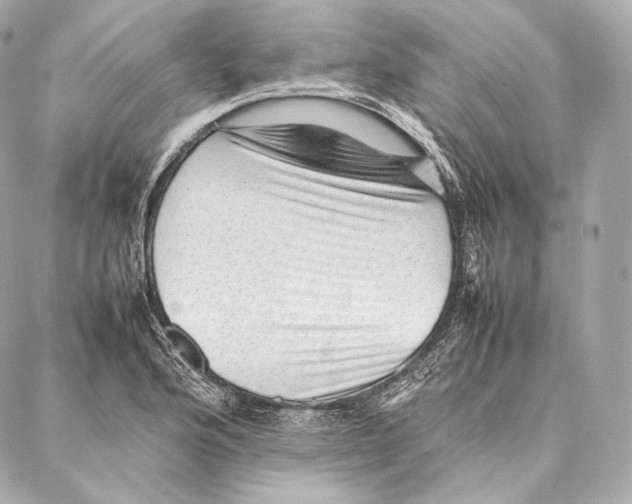 X0000086971176200705141643