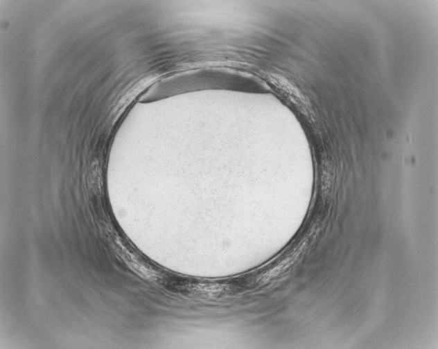 X0000086971177200705141643