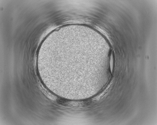 X0000086971179200705141643