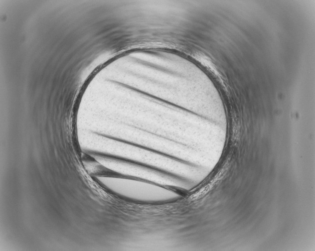 X0000086971181200705141643