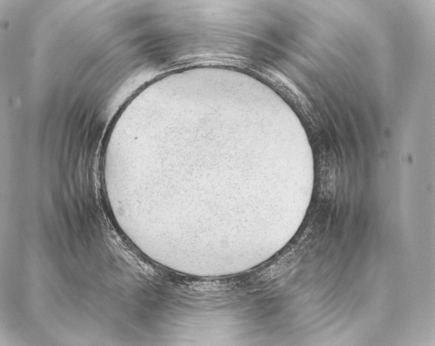 X0000086971182200705141643