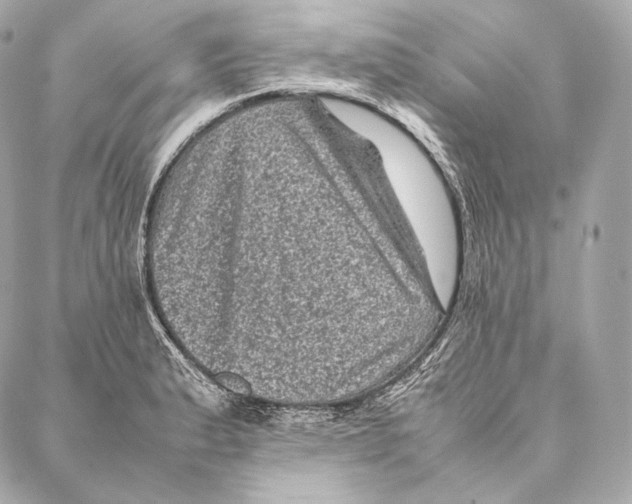 X0000086971183200705141643