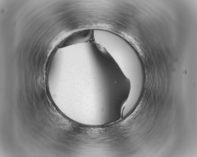 X0000086971184200705141643