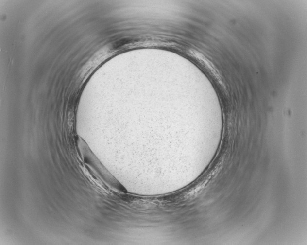 X0000086971185200705141643