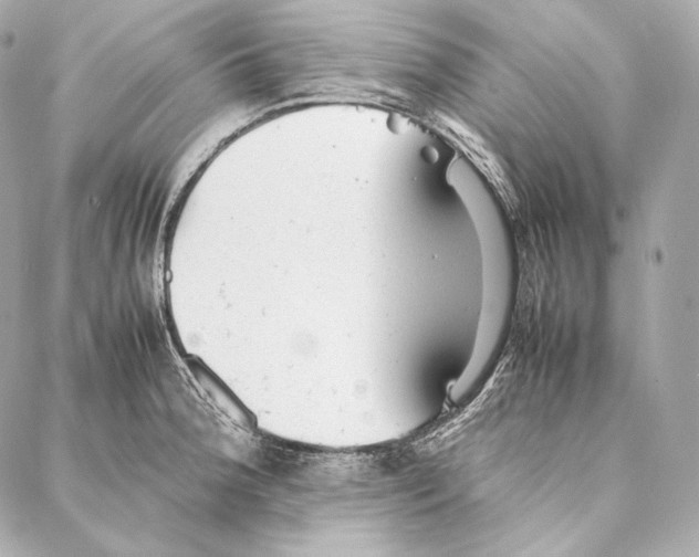 X0000086971188200705141643