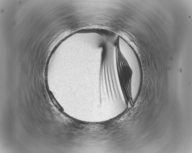 X0000086971189200705141643