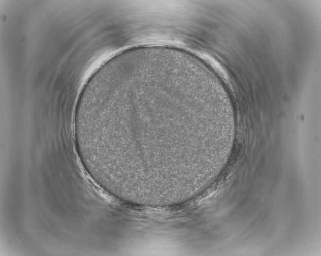 X0000086971191200705141643