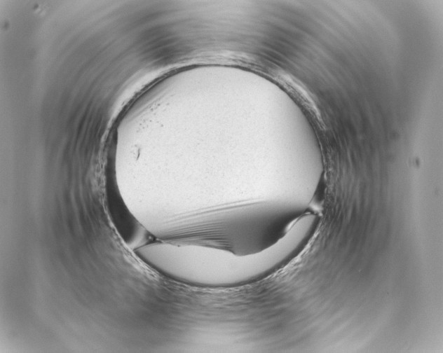 X0000086971192200705141643