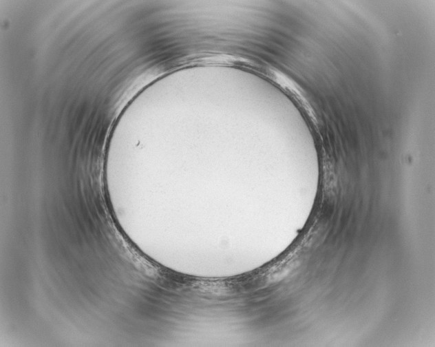 X0000086971194200705141643