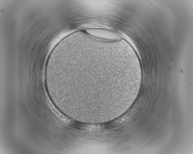 X0000086971195200705141643