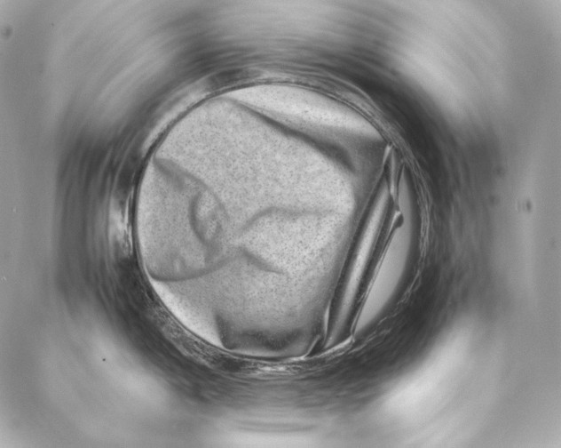 X0000086971198200705141643