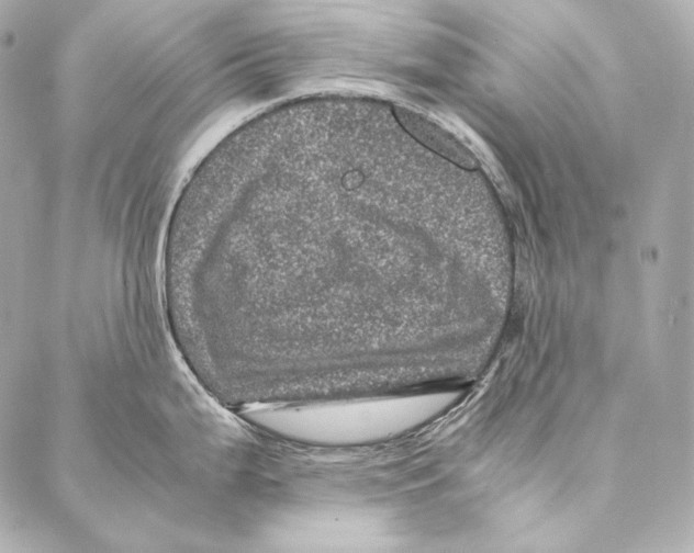 X0000086971199200705141643