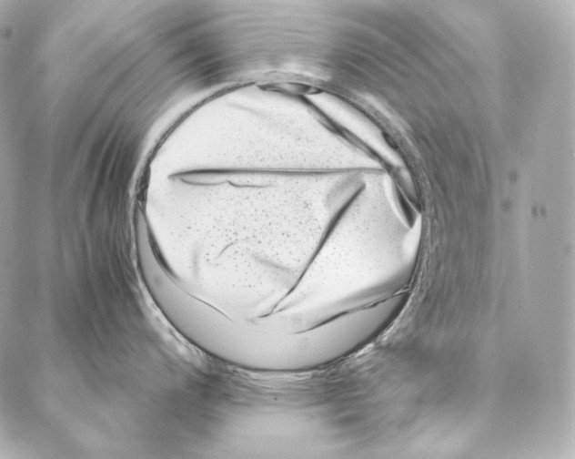 X0000086971200200705141643