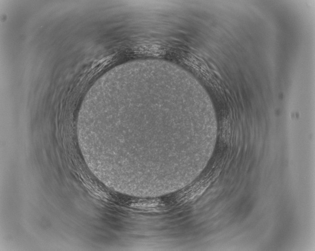 X0000086971201200705141642