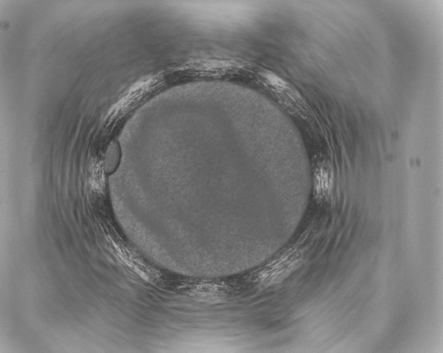 X0000086971204200705141642