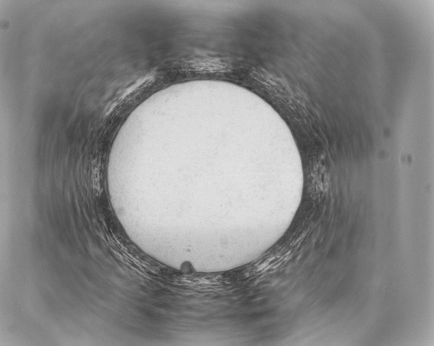 X0000086971205200705141642