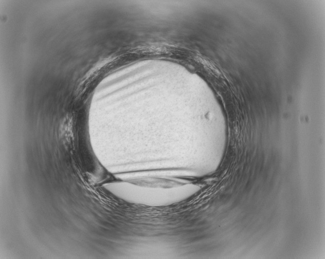 X0000086971206200705141642