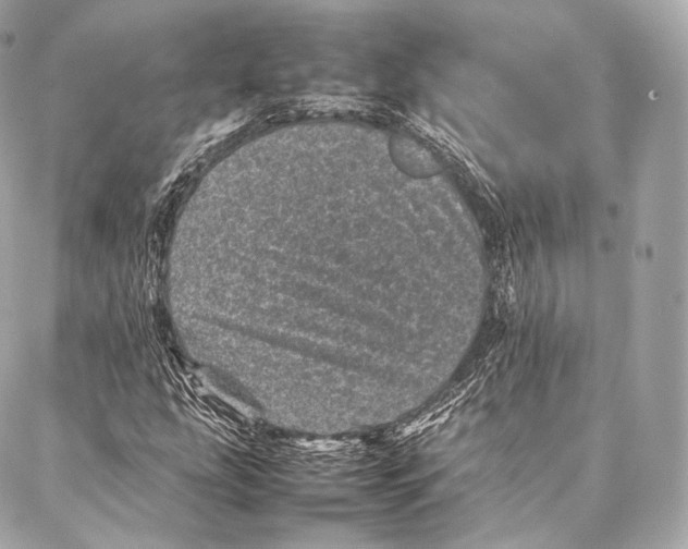 X0000086971207200705141642