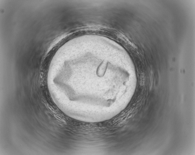 X0000086971208200705141642