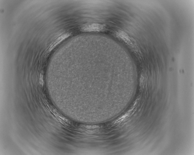 X0000086971209200705141642