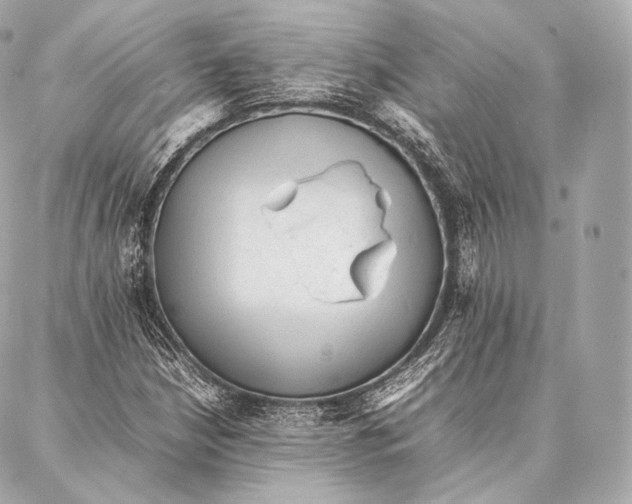 X0000086971210200705141642