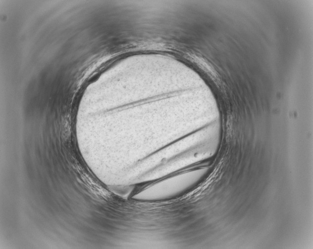 X0000086971212200705141642