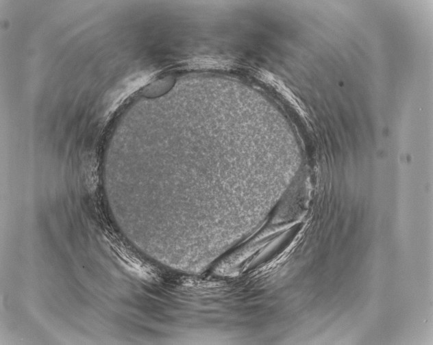 X0000086971213200705141642